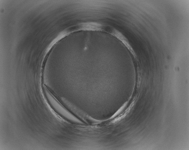 X0000085270853200703091350