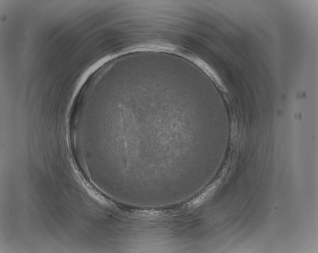 X0000085270854200703091350