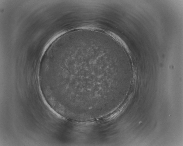 X0000085270855200703091350