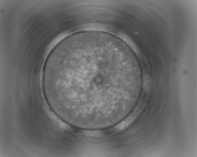 X0000085270856200703091350