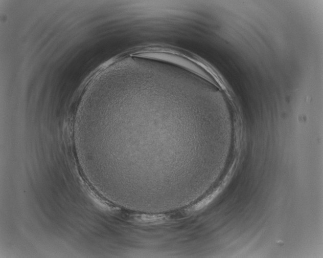 X0000085270857200703091350