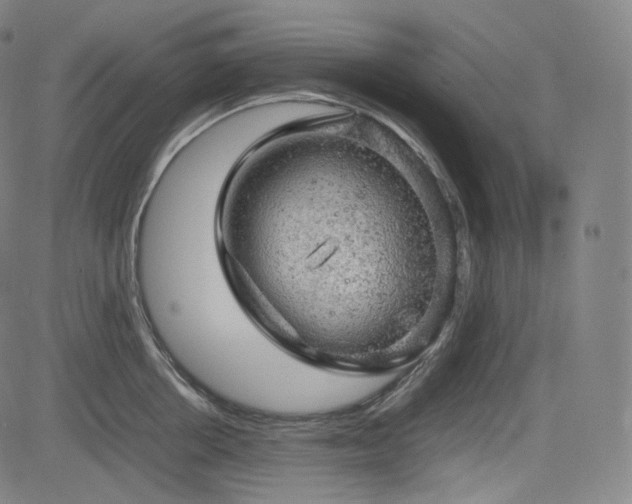 X0000085270858200703091350