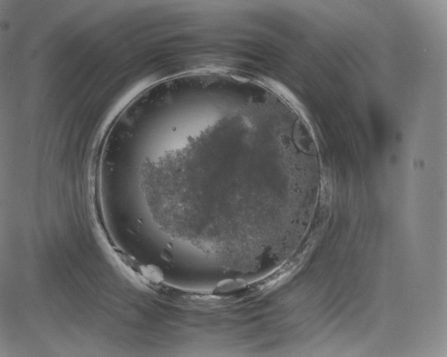 X0000085270859200703091350