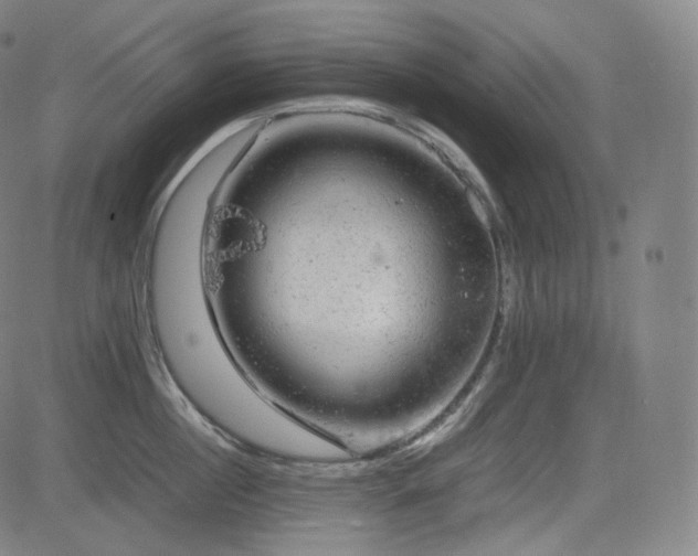 X0000085270860200703091350