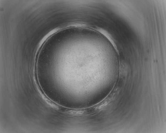 X0000085270861200703091350