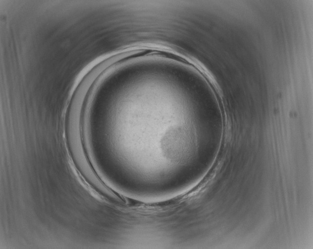 X0000085270862200703091350