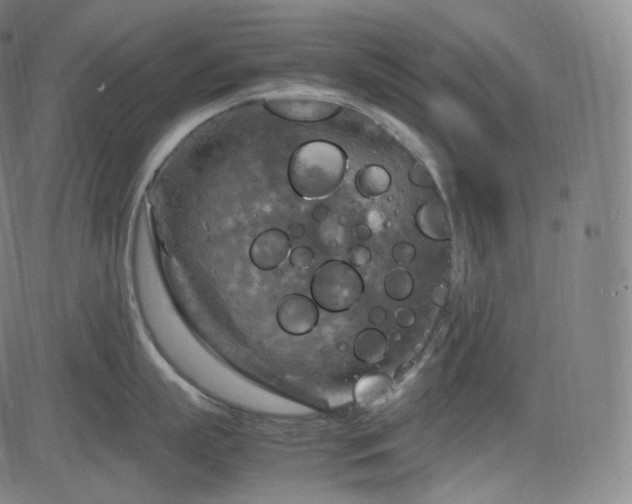 X0000085270863200703091350