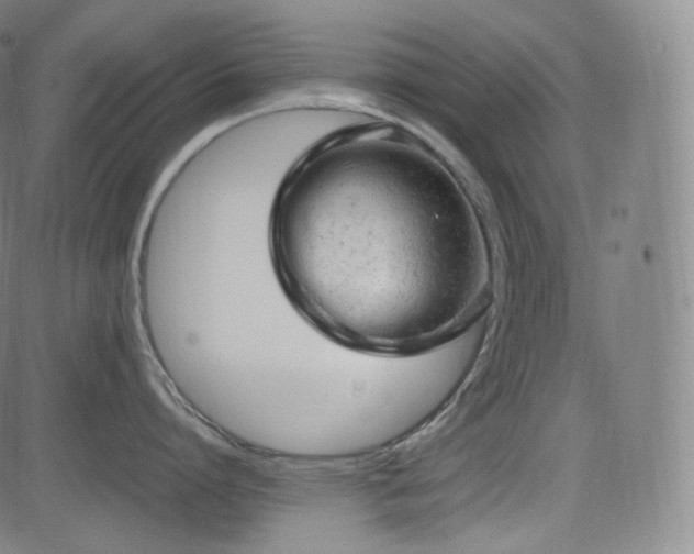 X0000085270864200703091350