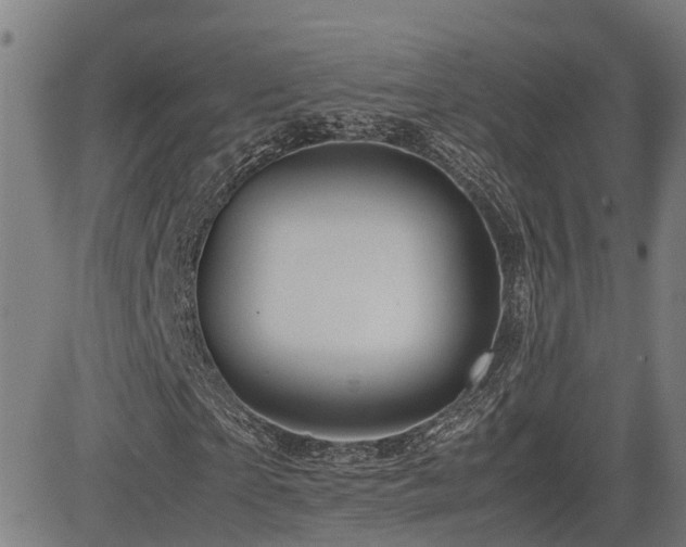 X0000085270865200703091349