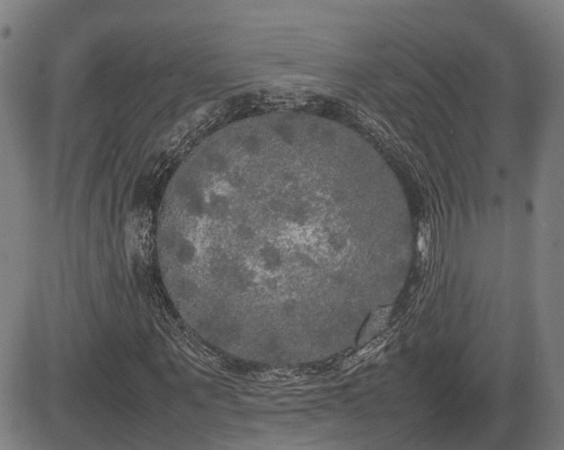 X0000085270867200703091349