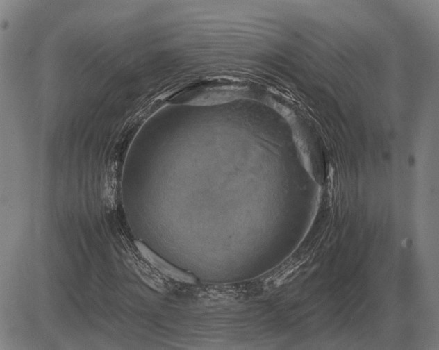 X0000085270868200703091349