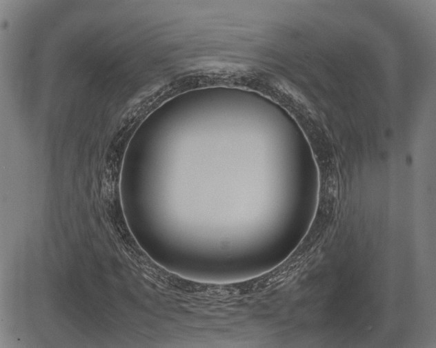 X0000085270869200703091349