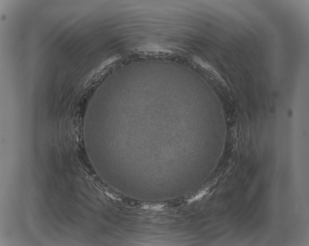 X0000085270870200703091349