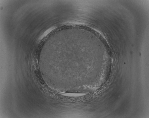 X0000085270871200703091349