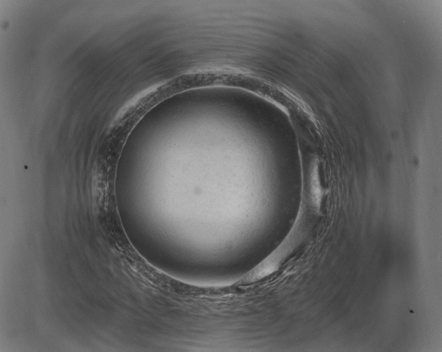 X0000085270872200703091349