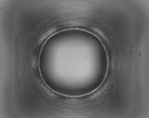 X0000085270873200703091349