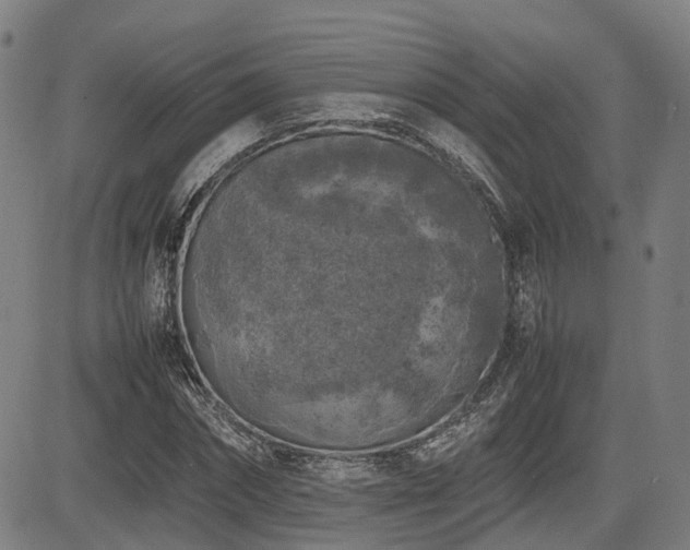 X0000085270874200703091349