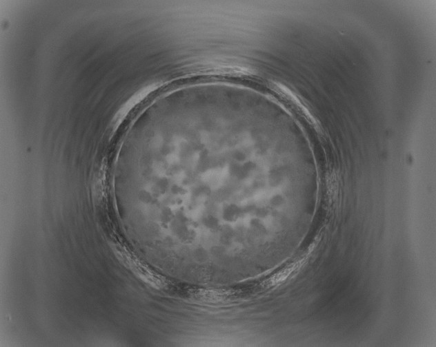 X0000085270875200703091349