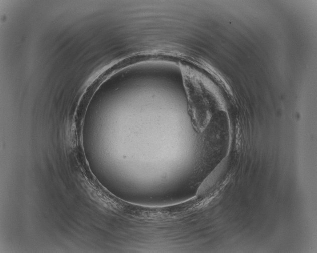 X0000085270876200703091349