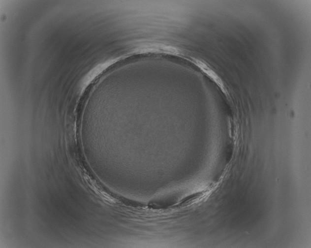 X0000085270877200703091349