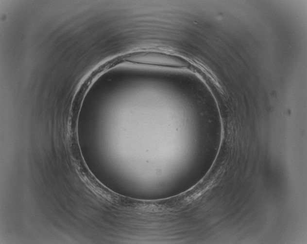 X0000085270880200703091349