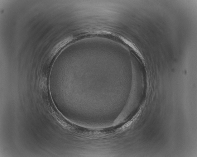 X0000085270881200703091349