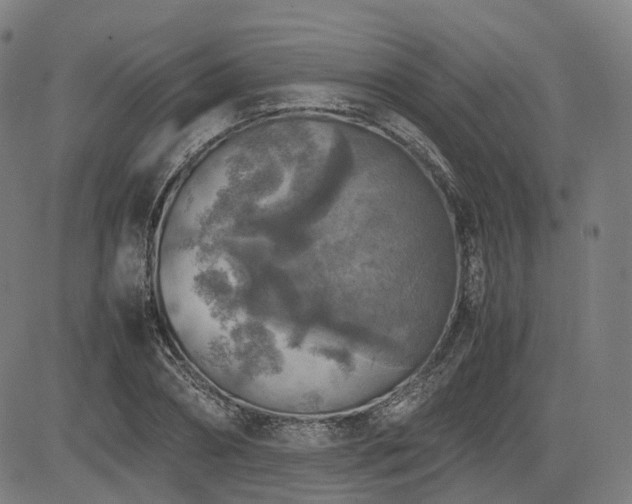 X0000085270882200703091349