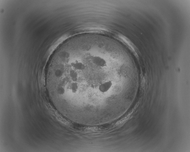 X0000085270883200703091349