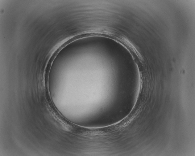 X0000085270884200703091349