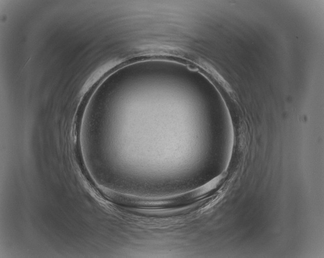 X0000085270885200703091349