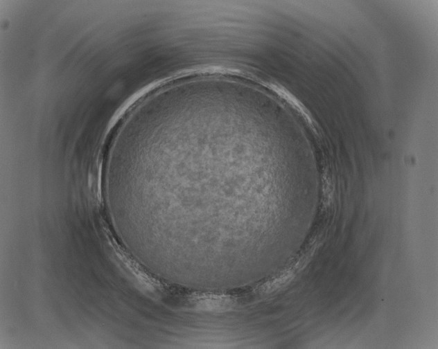 X0000085270886200703091349