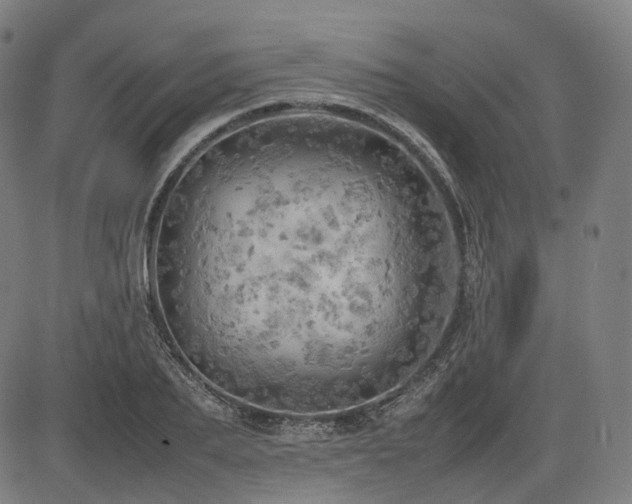 X0000085270887200703091349