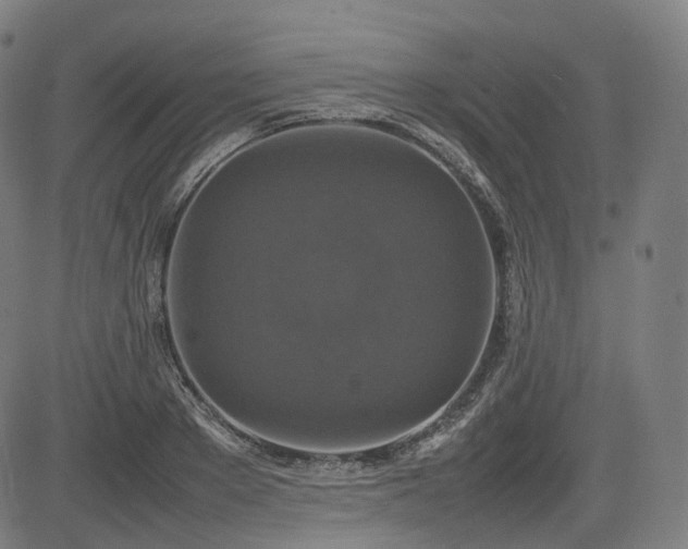 X0000085270889200703091349