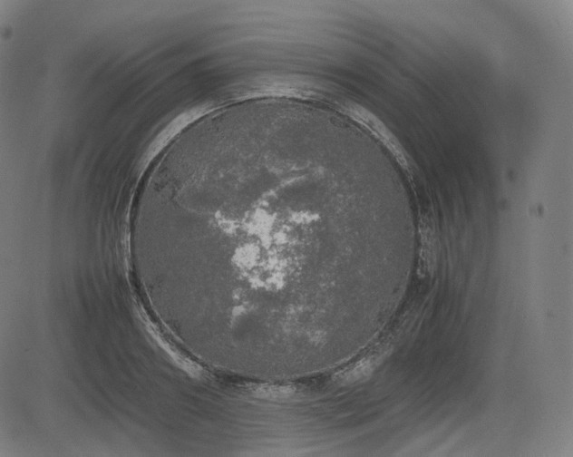 X0000085270890200703091349