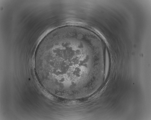 X0000085270891200703091349