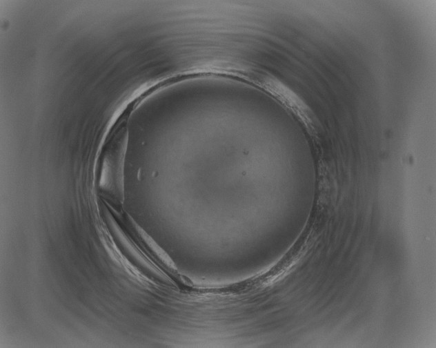 X0000085270892200703091349