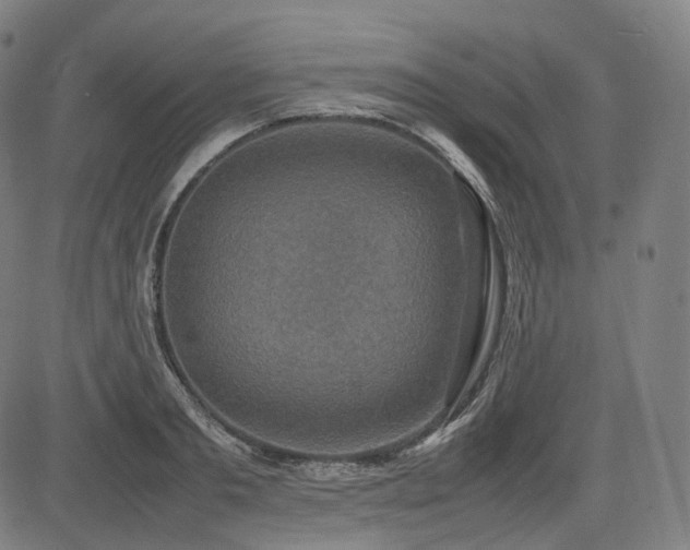 X0000085270893200703091349