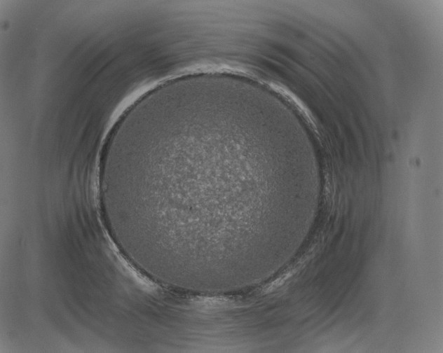 X0000085270894200703091349