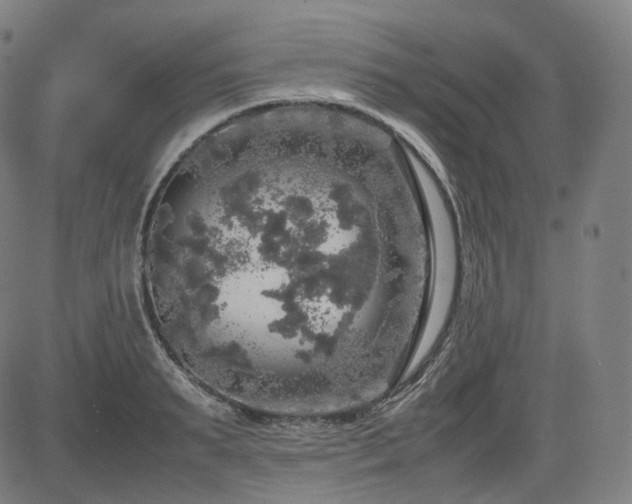 X0000085270895200703091349