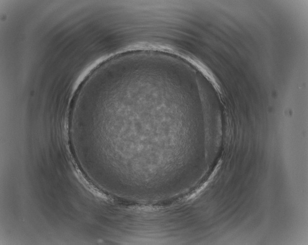 X0000085270896200703091349