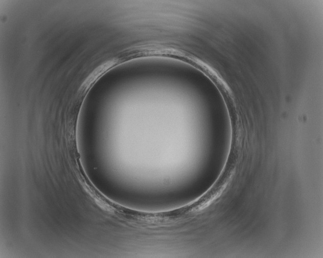 X0000085270897200703091349