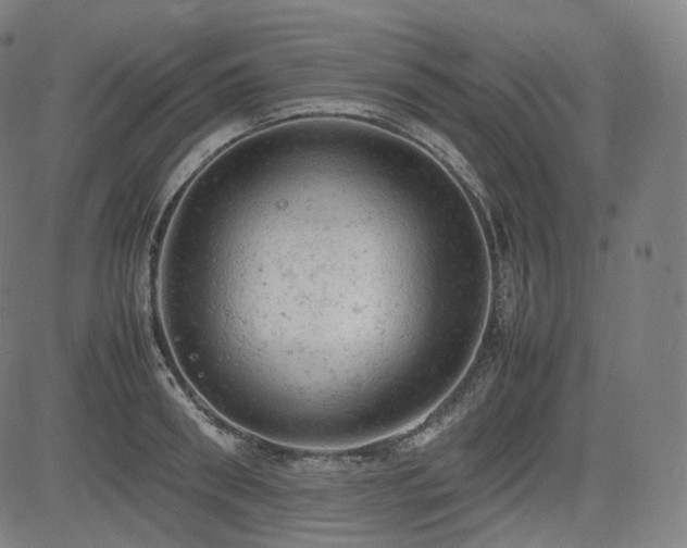 X0000085270898200703091349