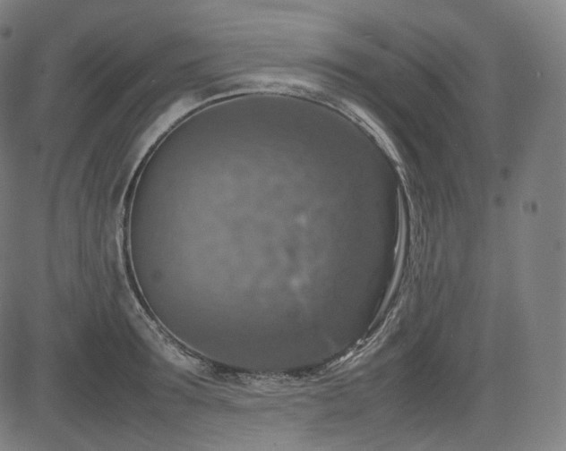 X0000085270899200703091349