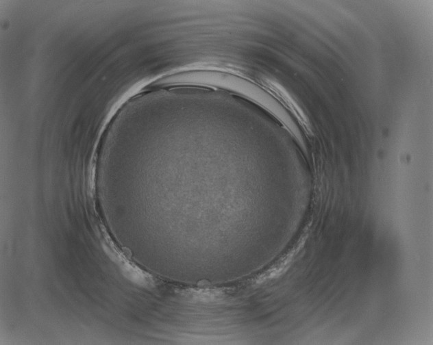 X0000085270900200703091349