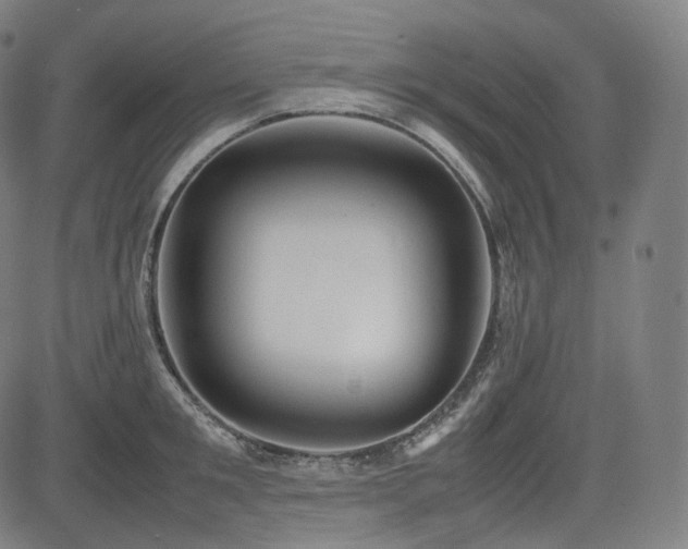 X0000085270901200703091349