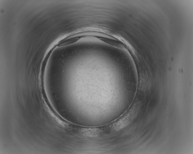 X0000085270902200703091349