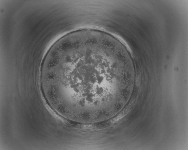 X0000085270903200703091349