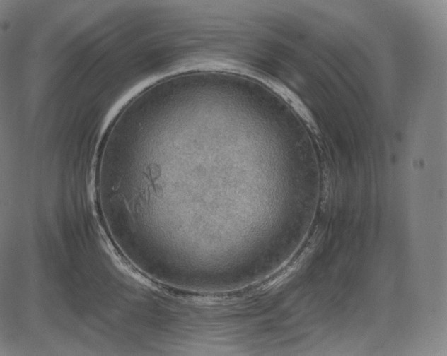 X0000085270904200703091349