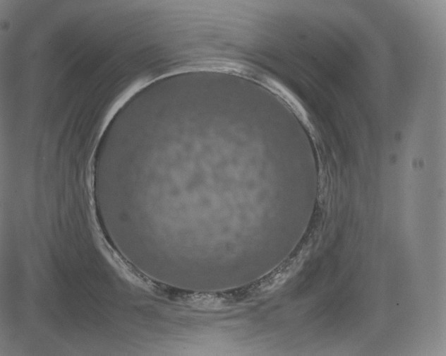 X0000085270907200703091349