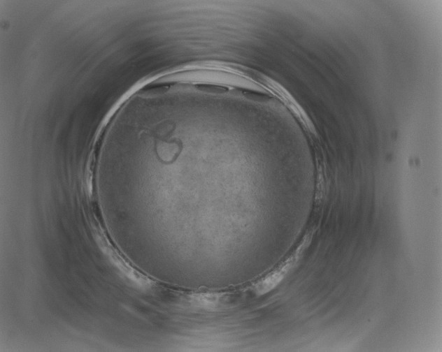 X0000085270908200703091349